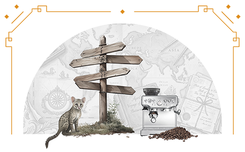 Go-to-Market & Localisation